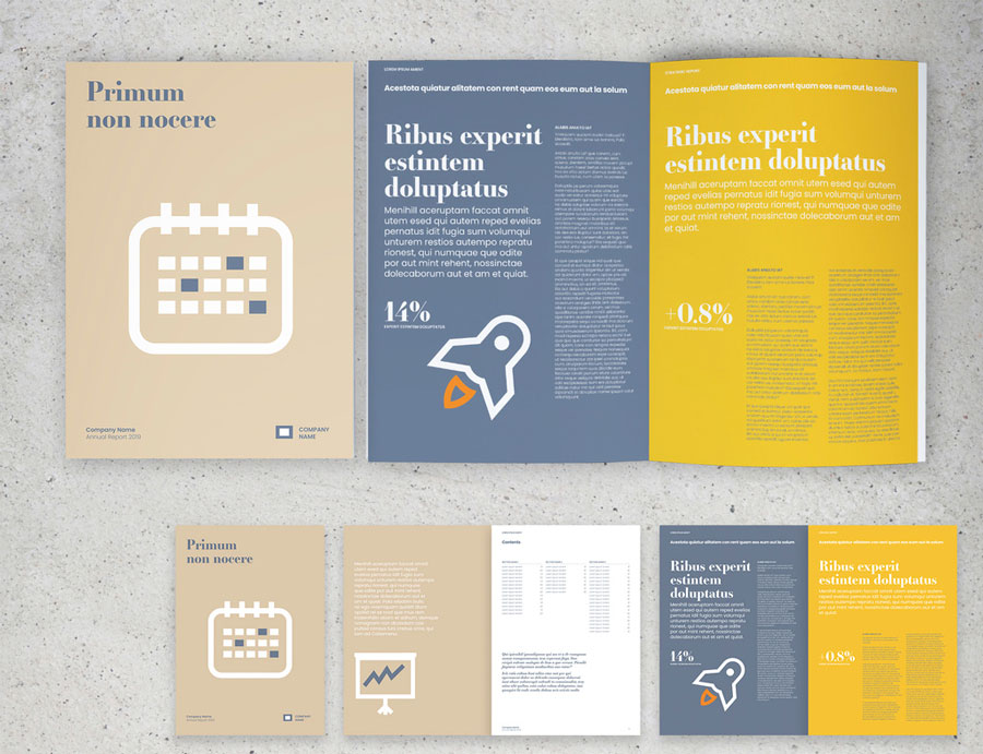 Minimalist Annual Report Layout