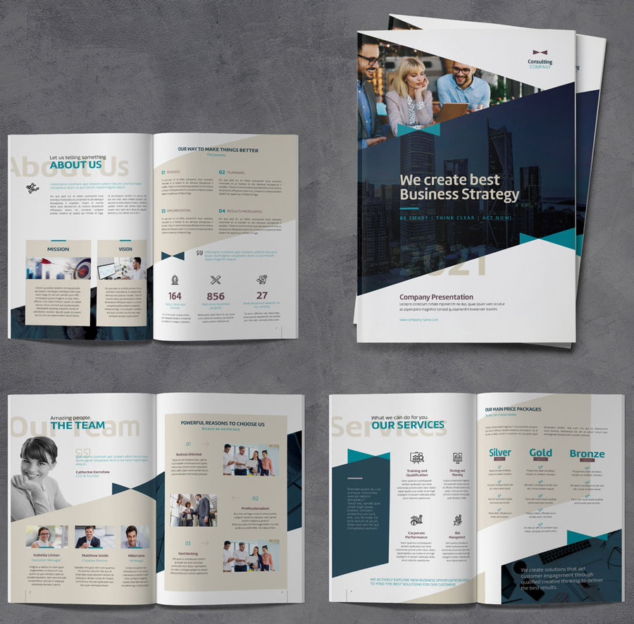 Business Company Profile Brochure with Blue and Beige Accents