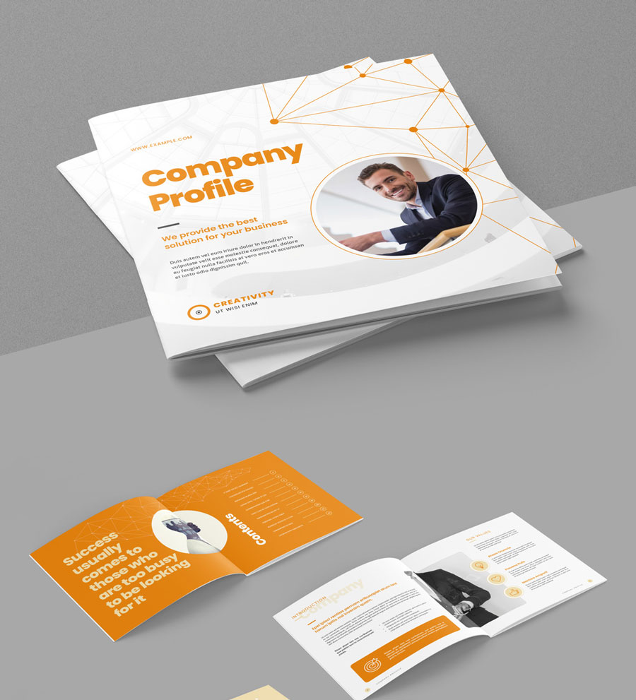 Company Profile Brochure Layout with Abstract Low Poly Line Elements
