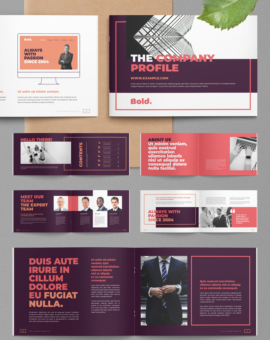 Company Profile Landscape Brochure Layout