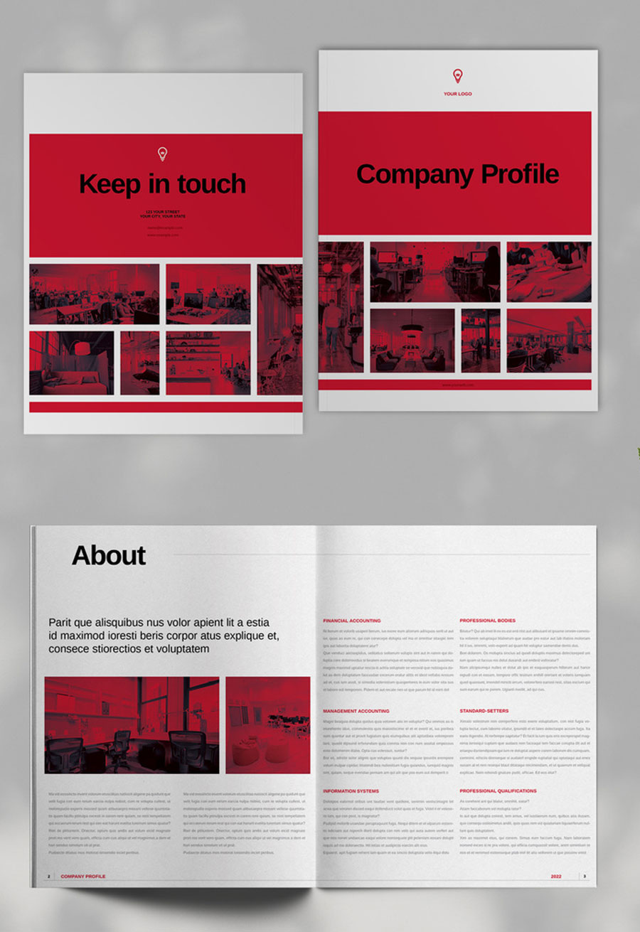 Company Profile Layout