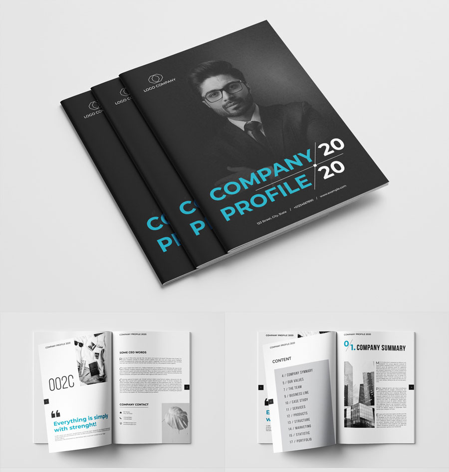 Company Profile Layout with Blue and Gray Accents