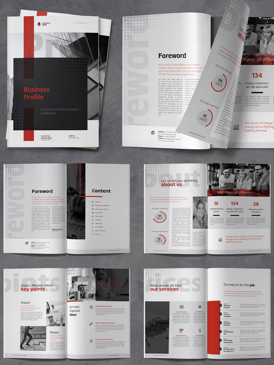 Company Profile with Red and Gray Accents