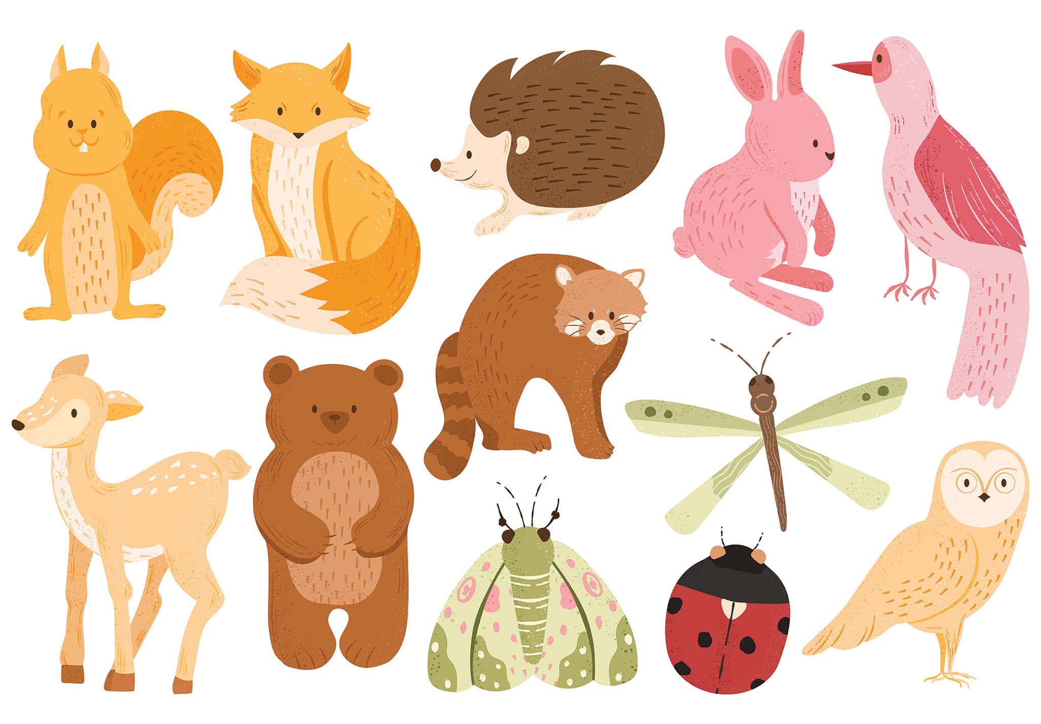 Autumn Fall Cute Woodland Animal Vector Clipart Illustrations