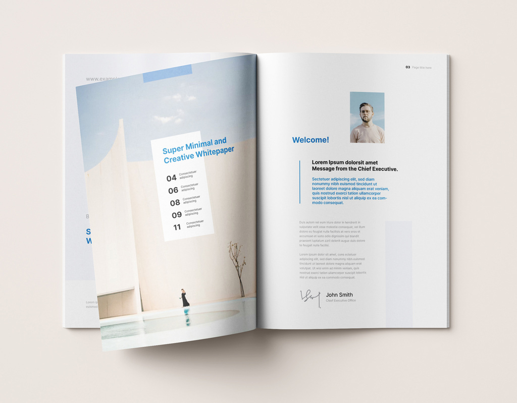 white-paper-layout-indd