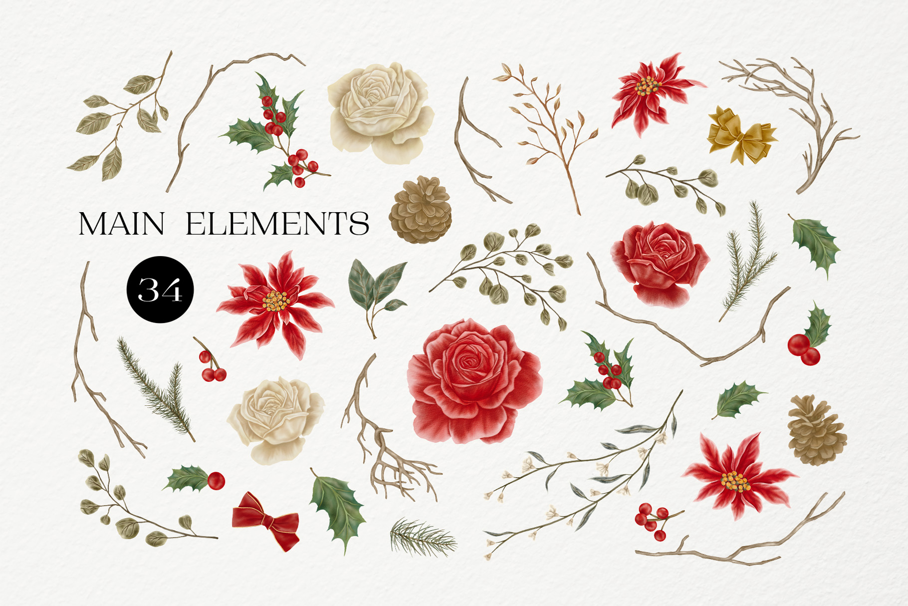 Christmas Leaves & Floral Elements (PSD, PNG, PAT Format)