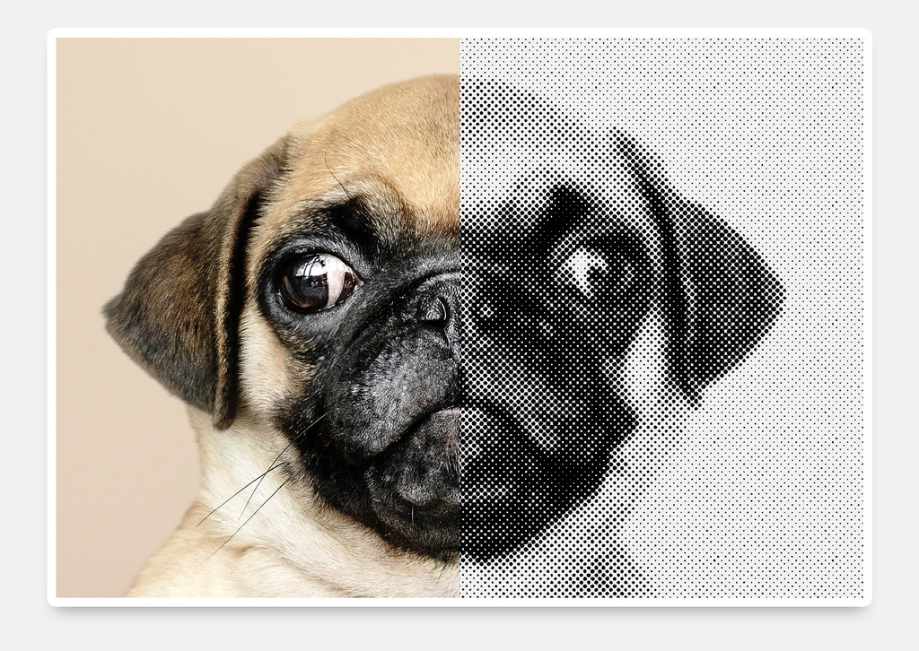Color Halftone Effect Image Mask Layout (PSD Format)