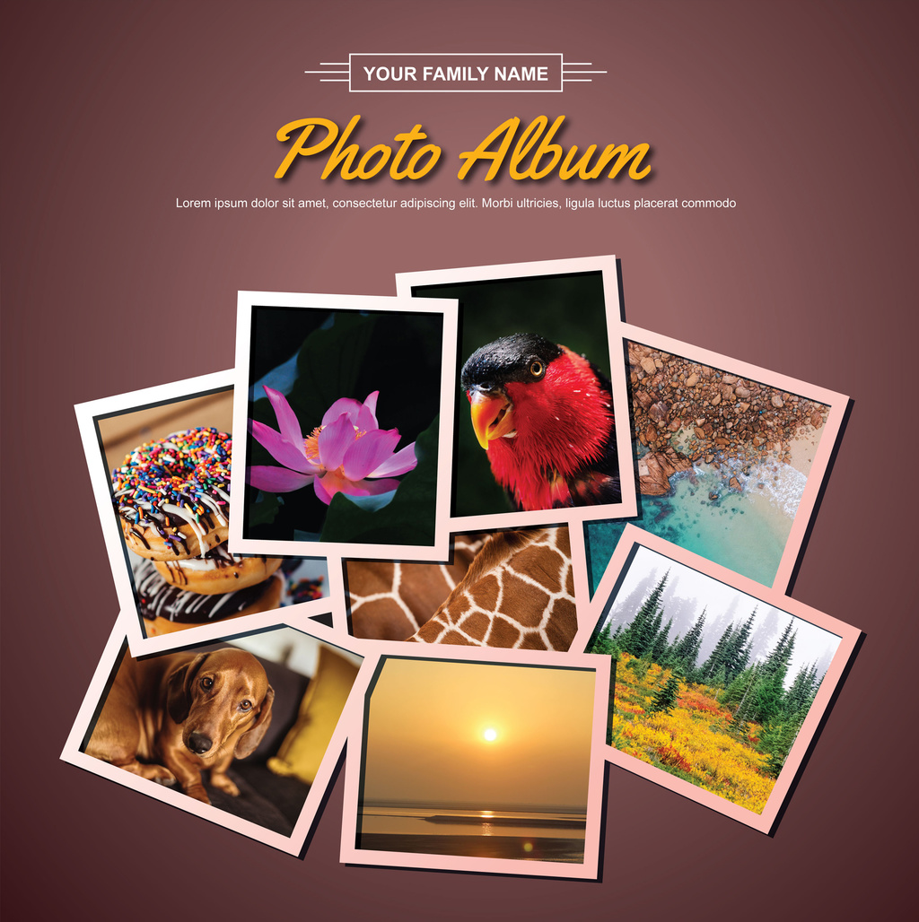 Overlapping Photo Collage Layout (PSD Format)