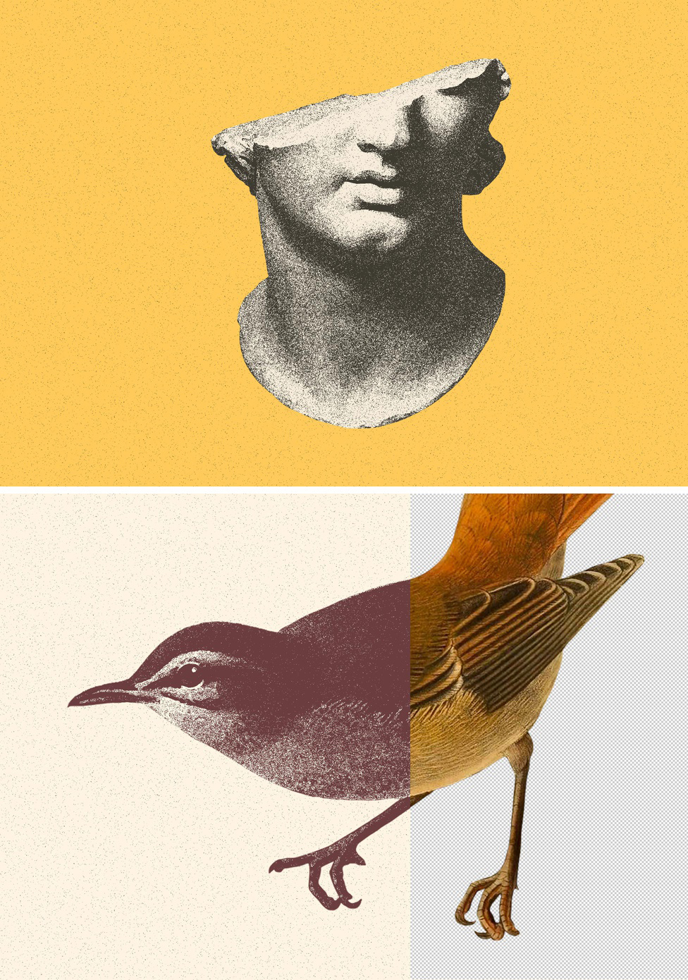 Risograph Grain Photo Effect Mockup (PSD Format)