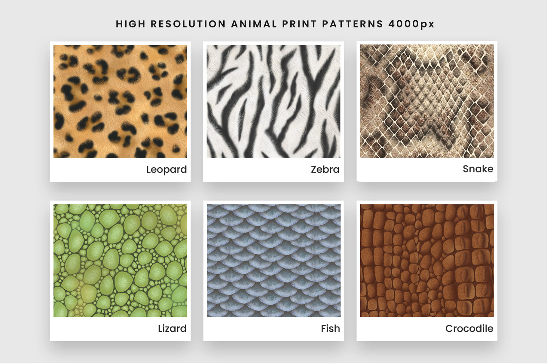 Animal Patterns (PSD, PAT, JPEG Format)