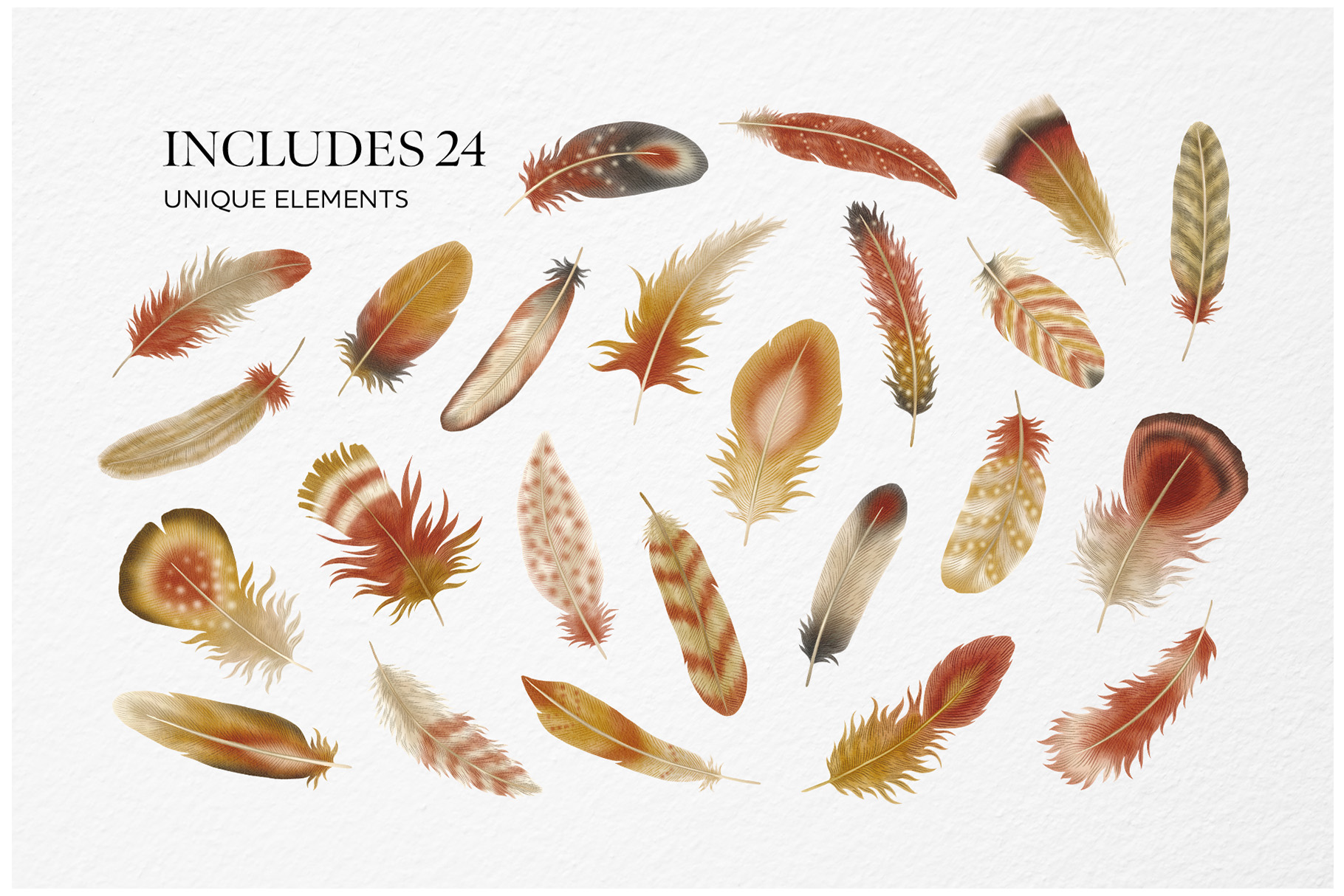 Feathers Watercolor Clipart (PSD, PNG, PAT Format)