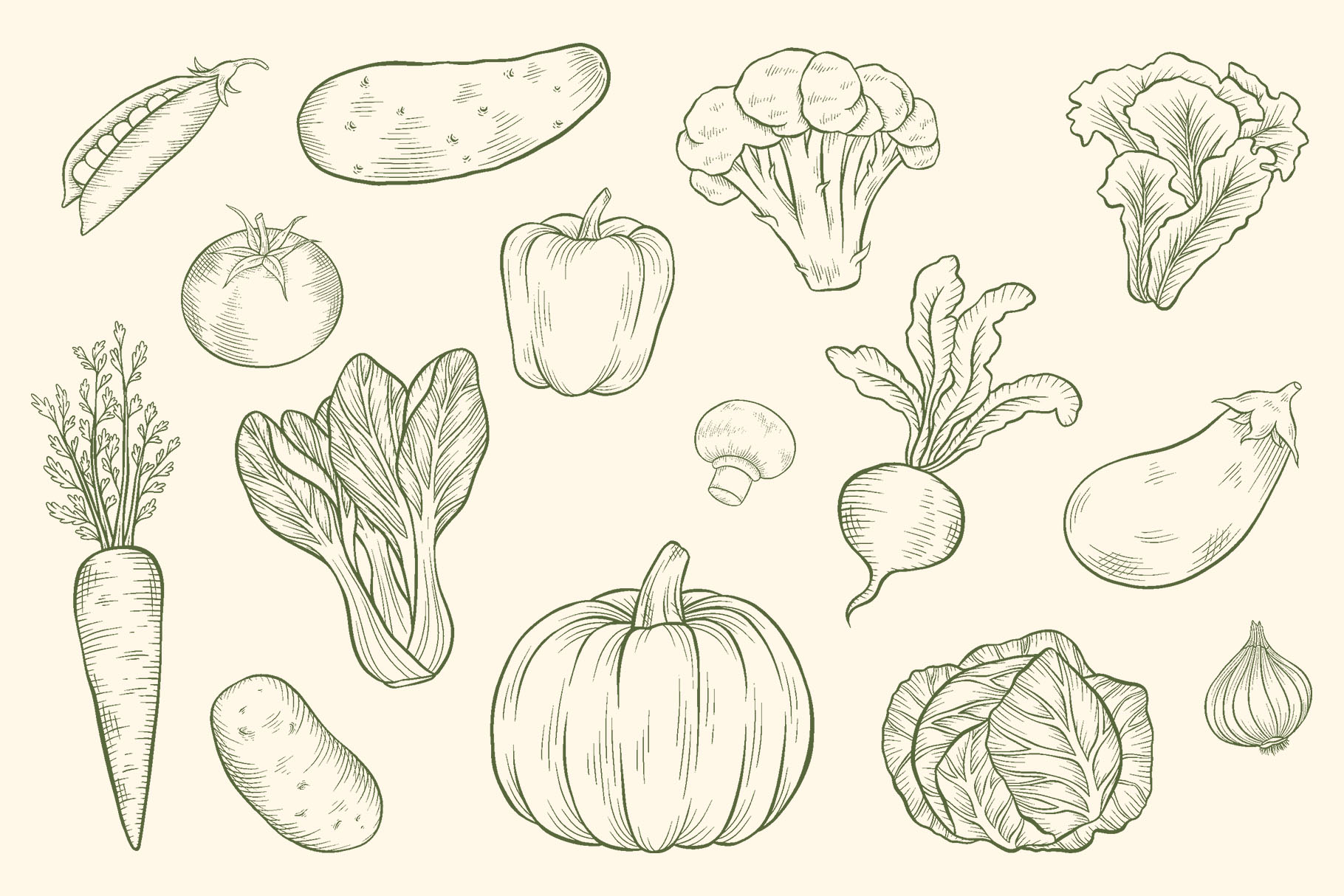 Vegetable Clipart Illustrations (PSD, PNG Format)