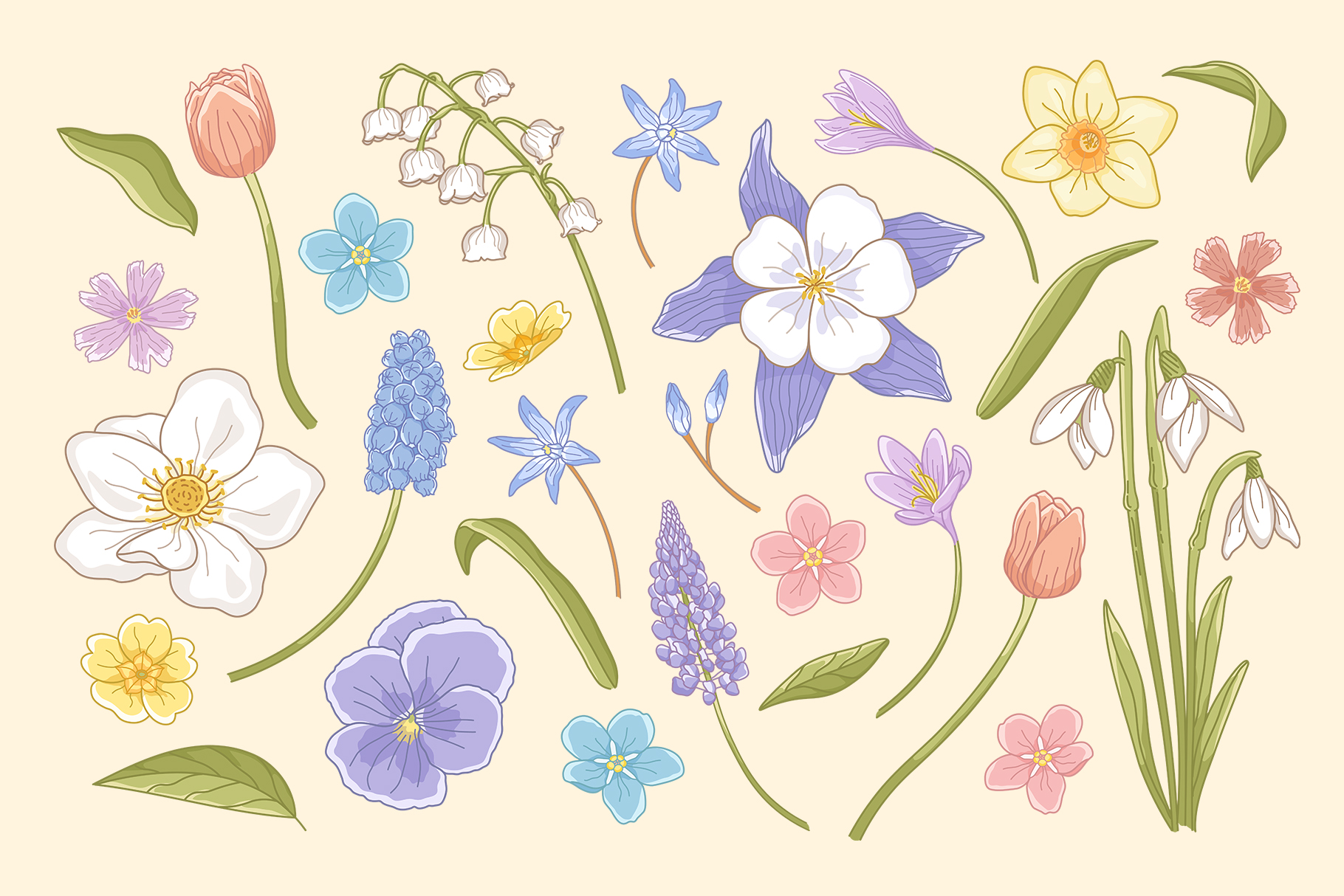 Spring Flower Illustration (AI, EPS, PNG Format)