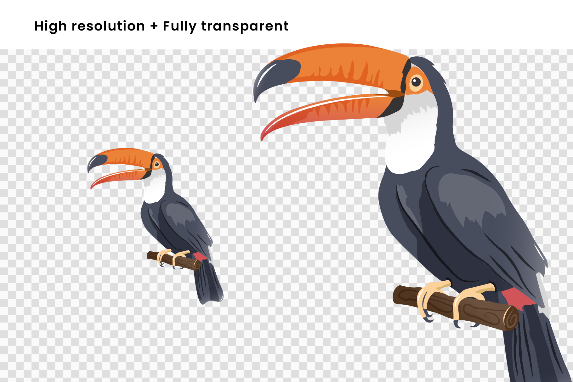 Tropical Illustrations Set (AI, EPS, PNG Format)
