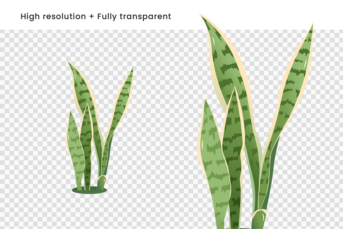 Tropical Leaves & Foliage Illustrations (AI, EPS, PNG Format)