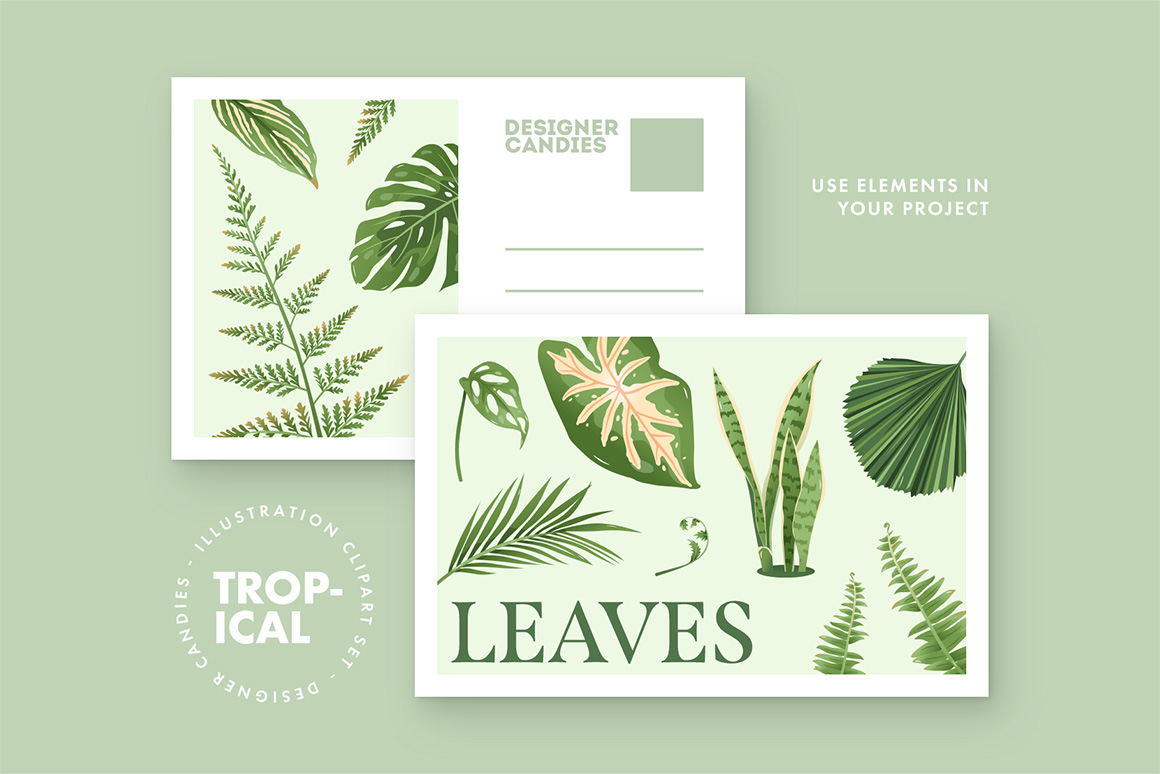 Tropical Leaves & Foliage Illustrations (AI, EPS, PNG Format)