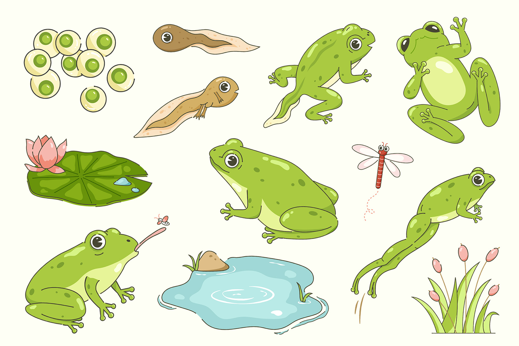 Frog Illustrations Set (AI, EPS, PNG Format)