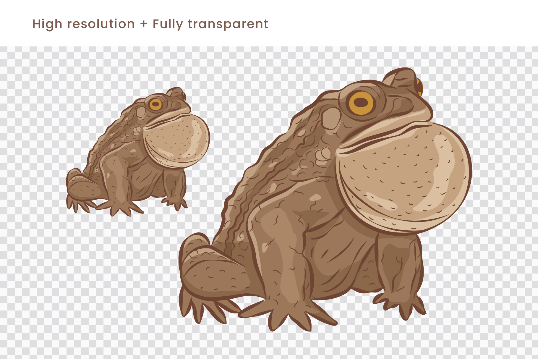 Toad Illustrations (AI, PNG Format)