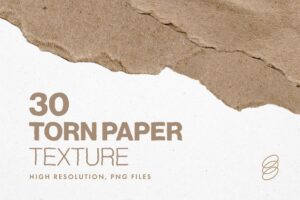 Torn Paper Texture Pack in PSD PNG