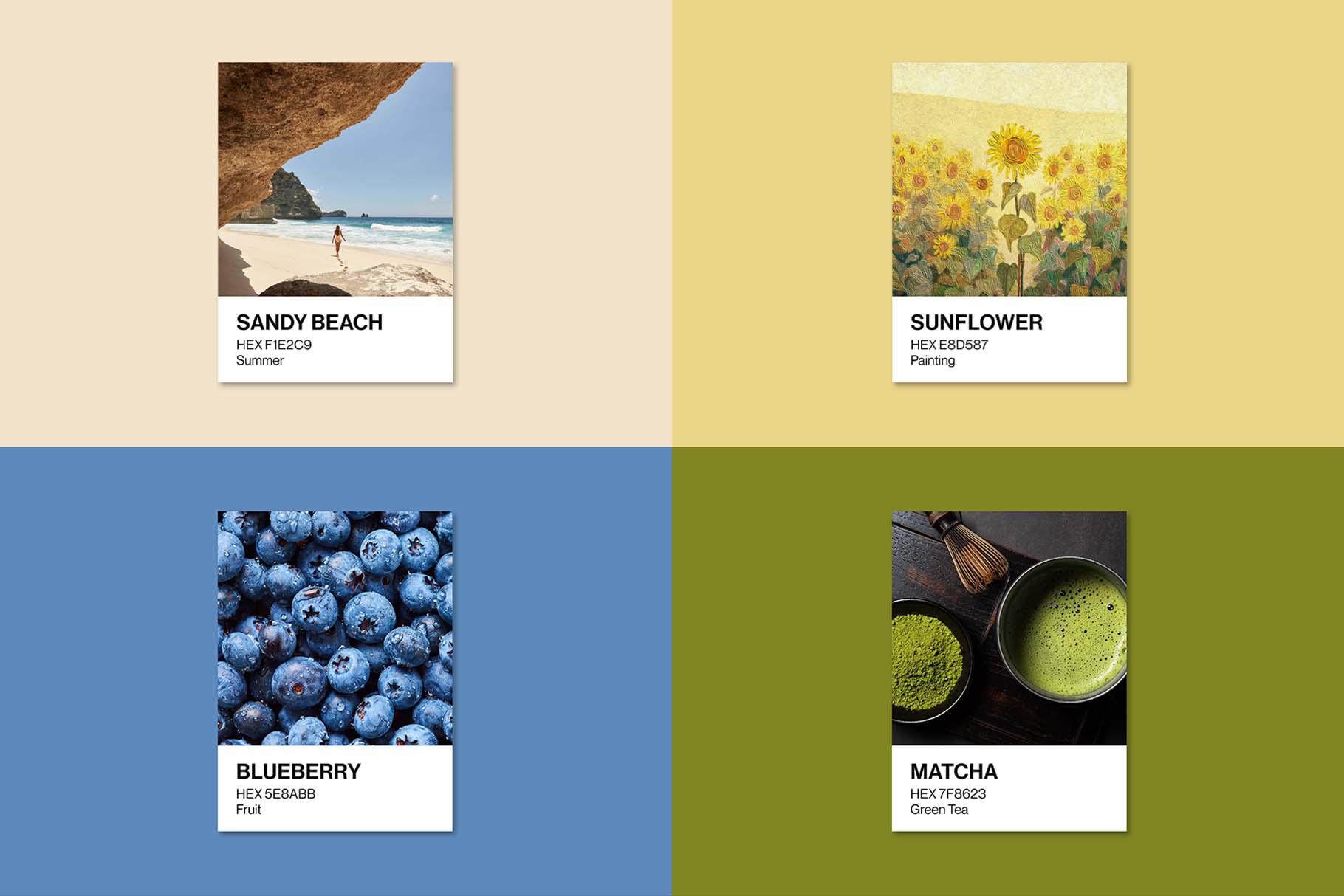 Color Palette Card Mockup Template in PSD