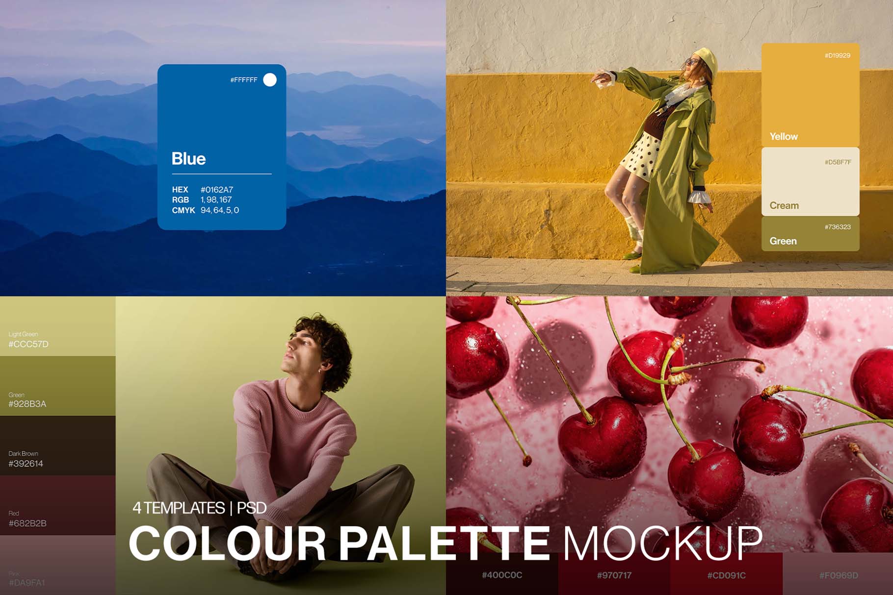 Color Palette Mockup Template in PSD