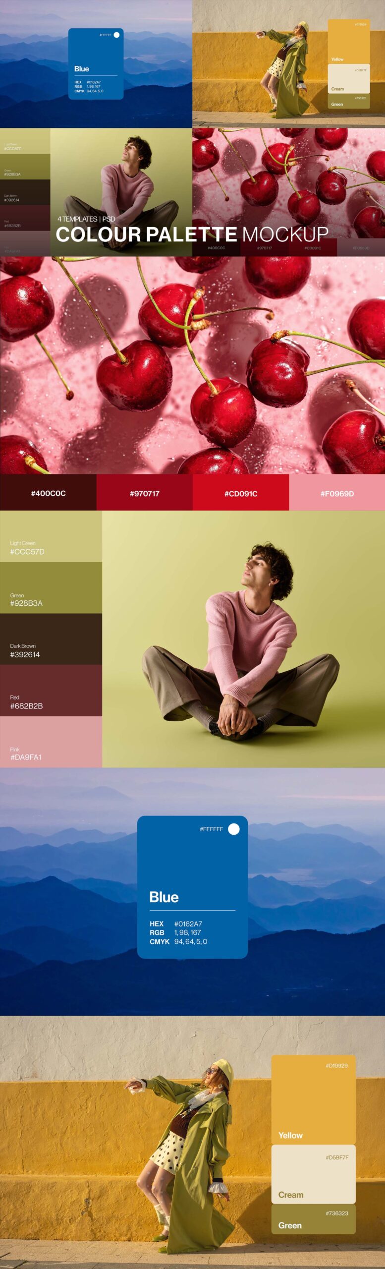 Color Palette Mockup Template in PSD