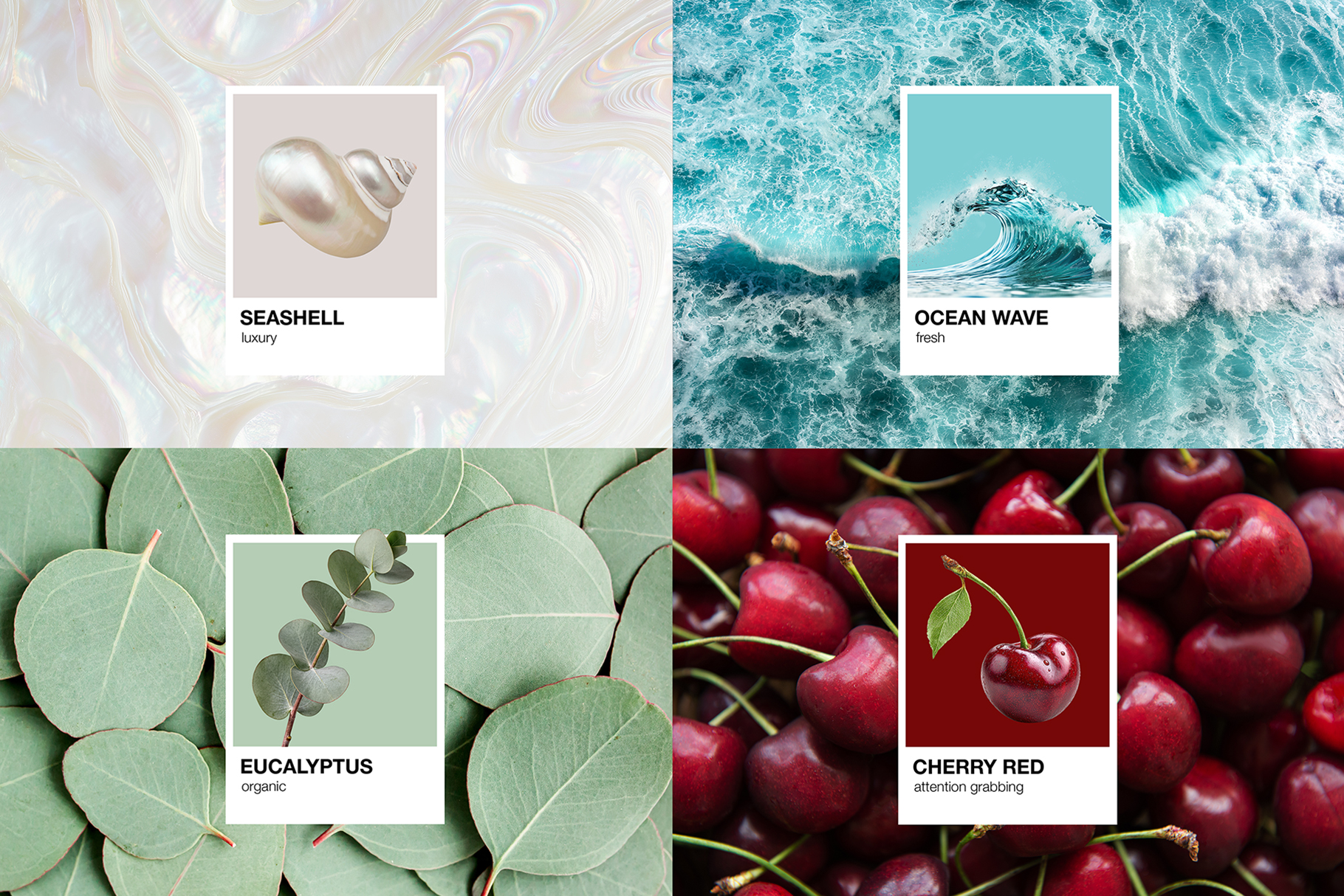 Pantone Color Card Mockup Template in PSD
