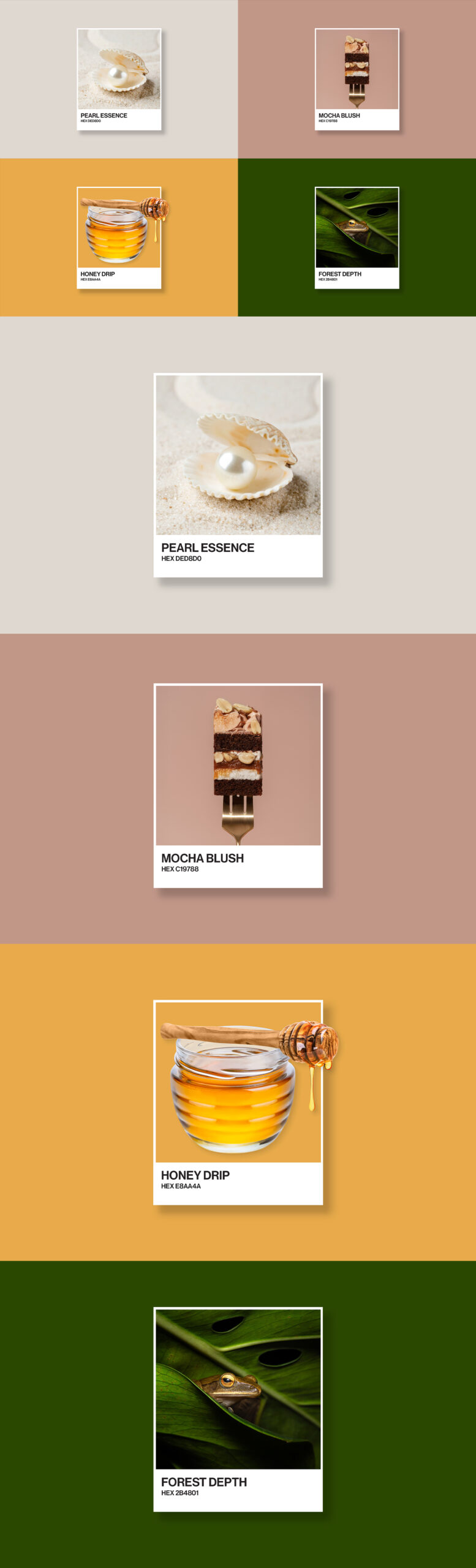 Pantone Color Card Mockup Template in PSD